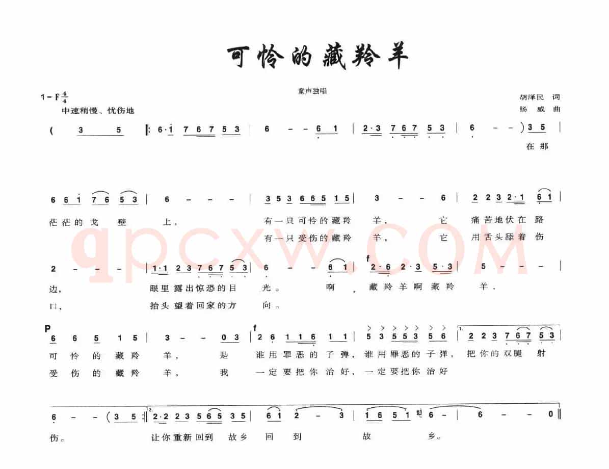 可怜的藏羚羊