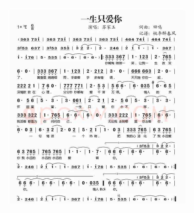 一生只爱你（田鸣 词曲）