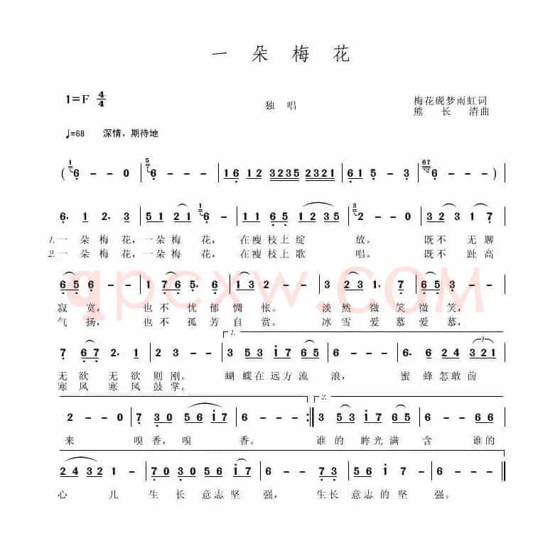一朵梅花