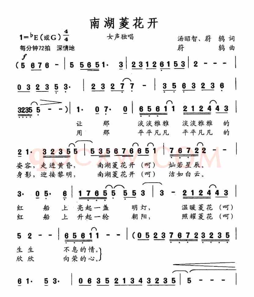 南湖菱花开