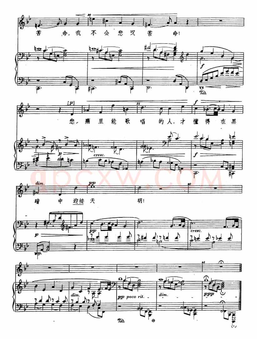茨冈歌曲集：森林四周多么宁静（正谱）