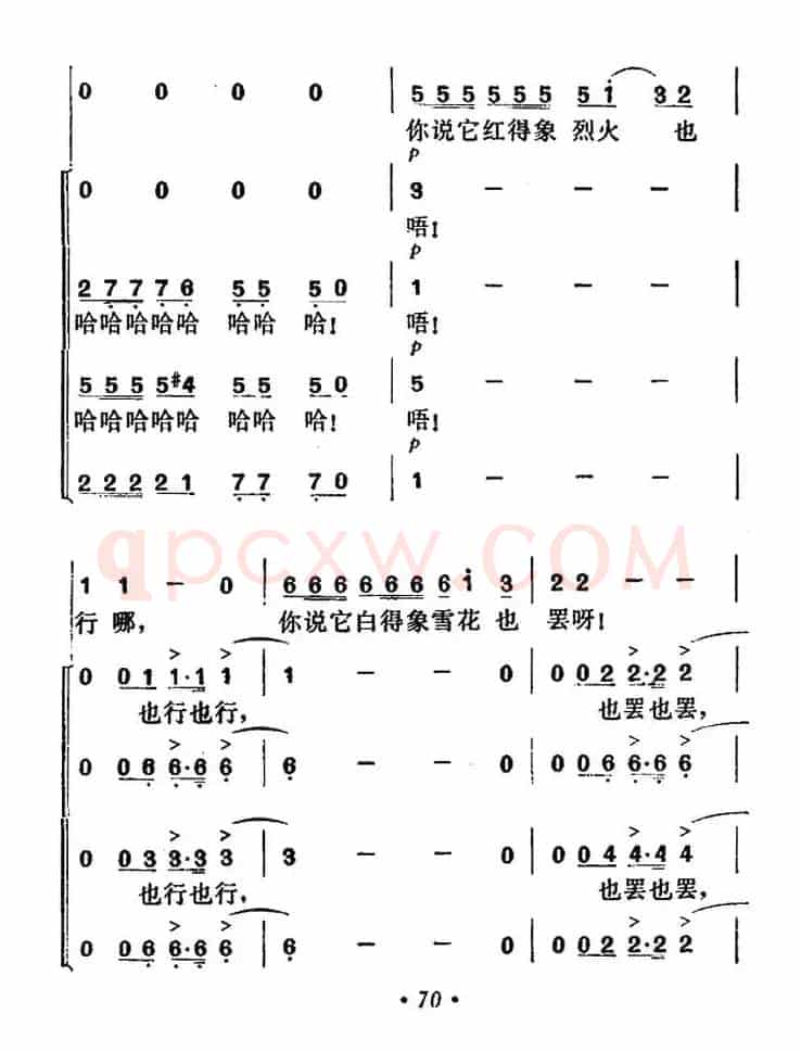 我的心上开了一朵玫瑰花