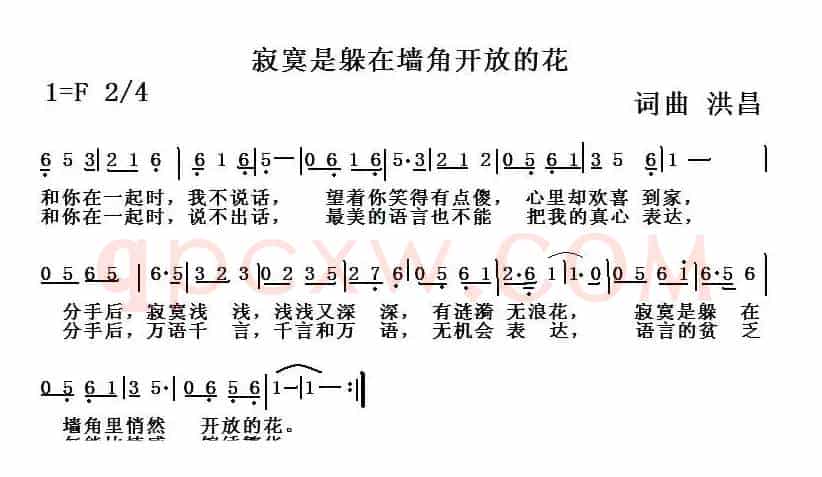 寂寞是躲在墙角开放的花