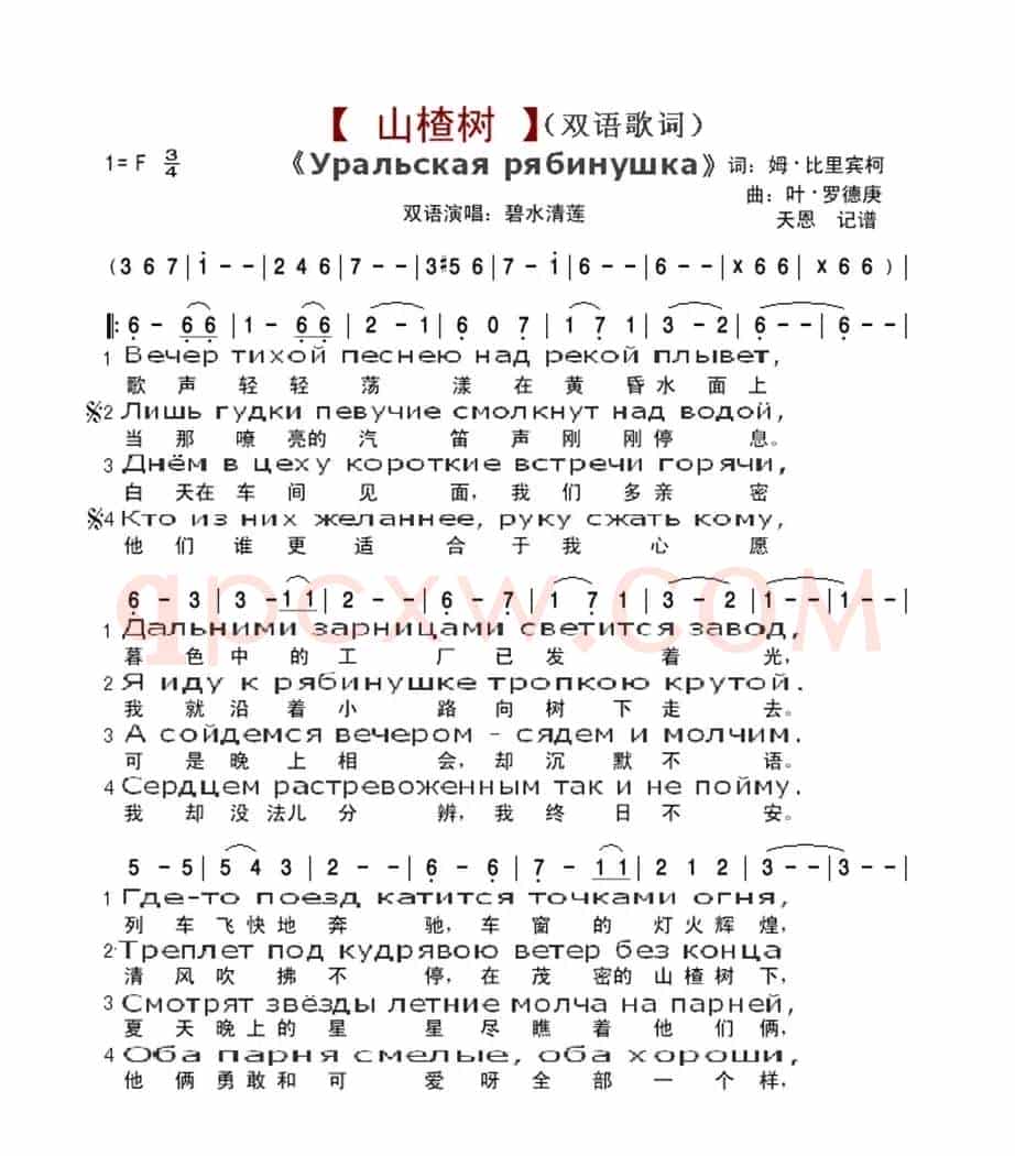 山楂树(双语歌词)