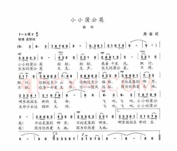 小小蒲公英