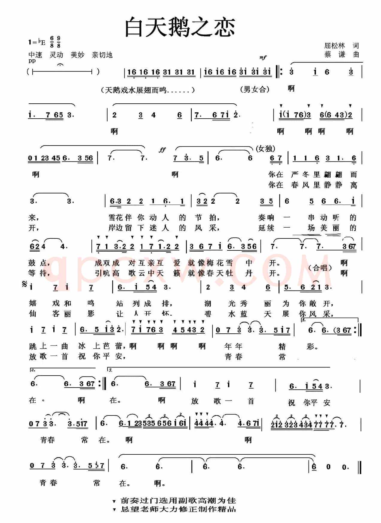 白天鹅之恋