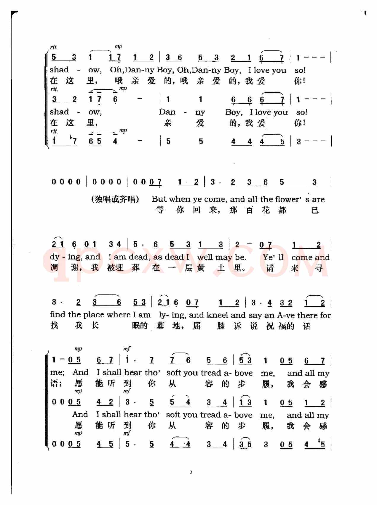亲爱的人（爱尔兰民歌 简谱版）