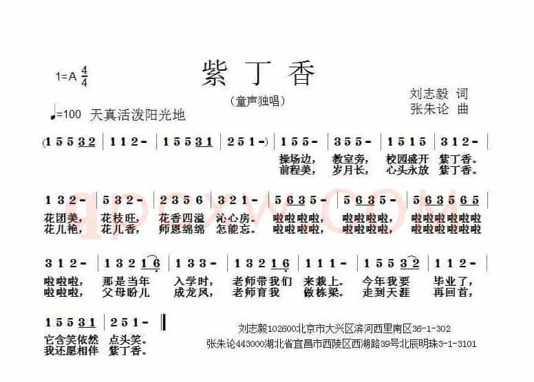 紫丁香（刘志毅词 张朱论曲）