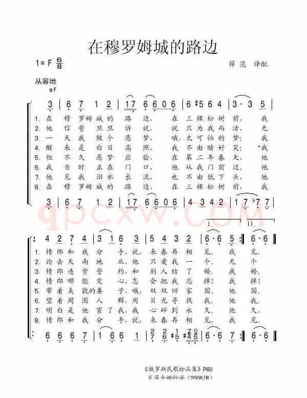 在穆罗姆城的路边（俄）