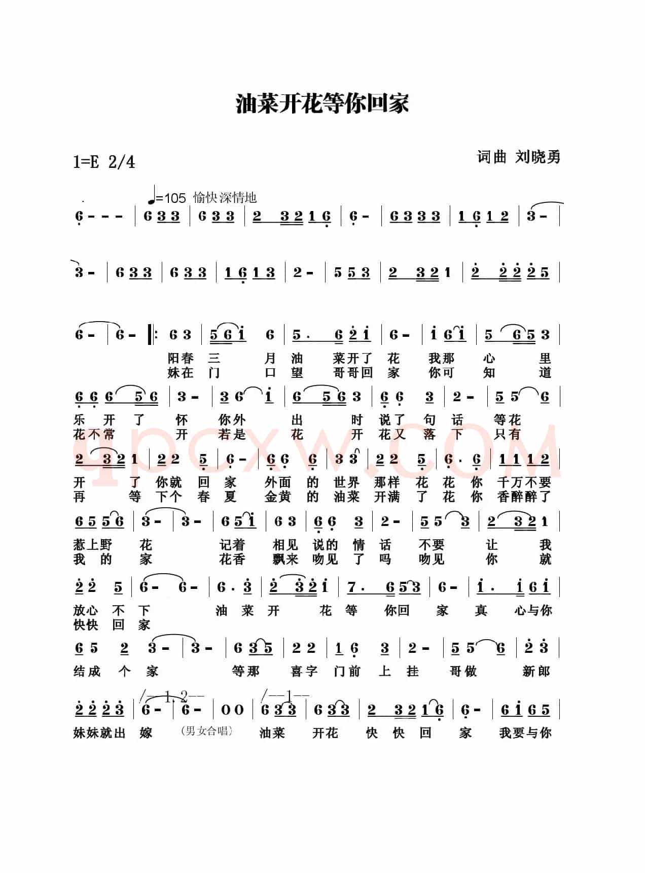 油菜花开等你回家
