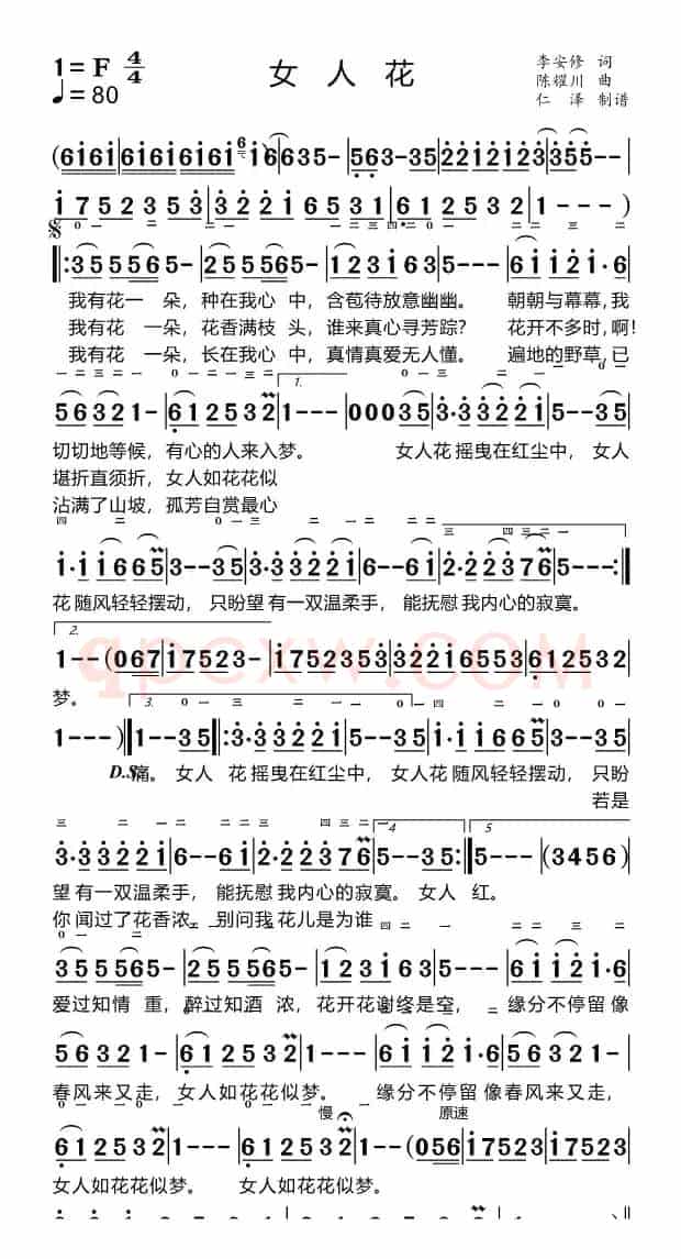 女人花（适合手机）