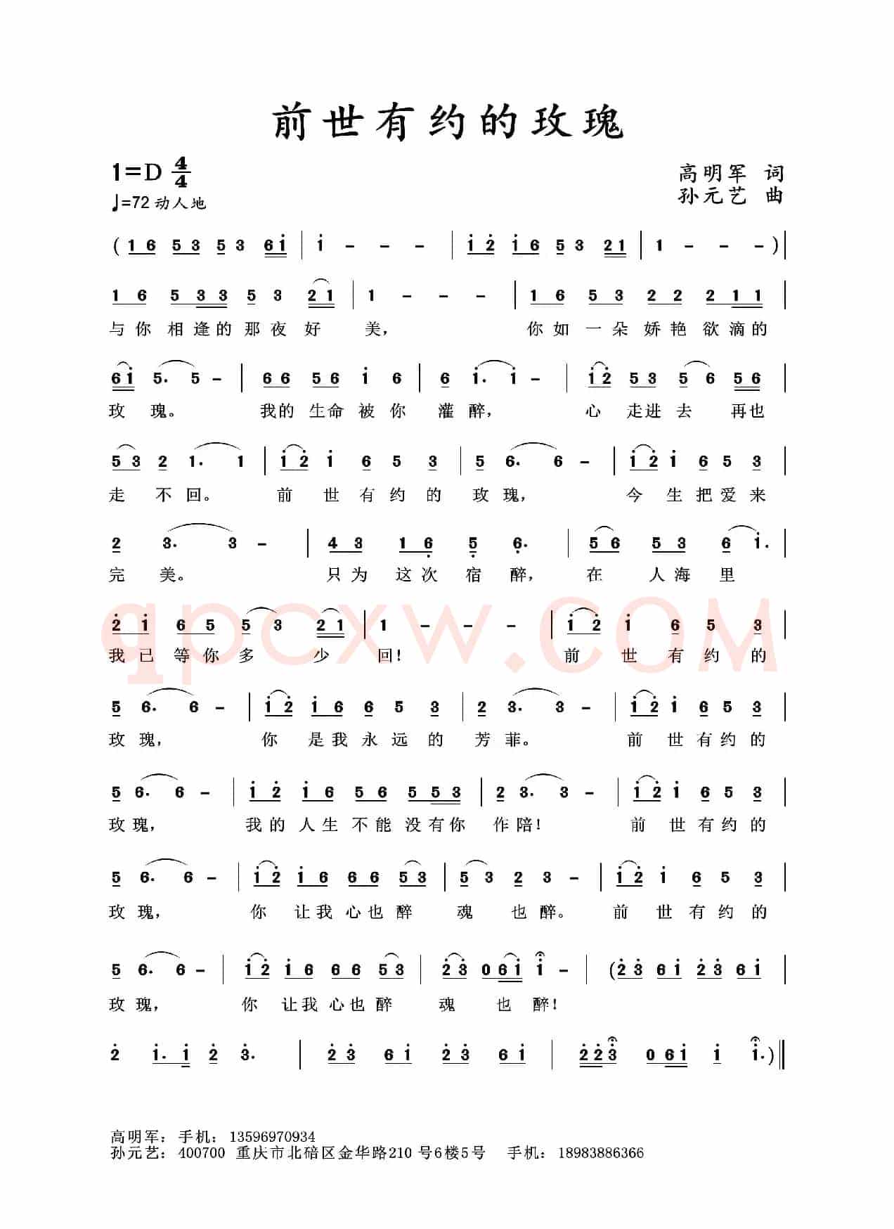 前世有约的玫瑰