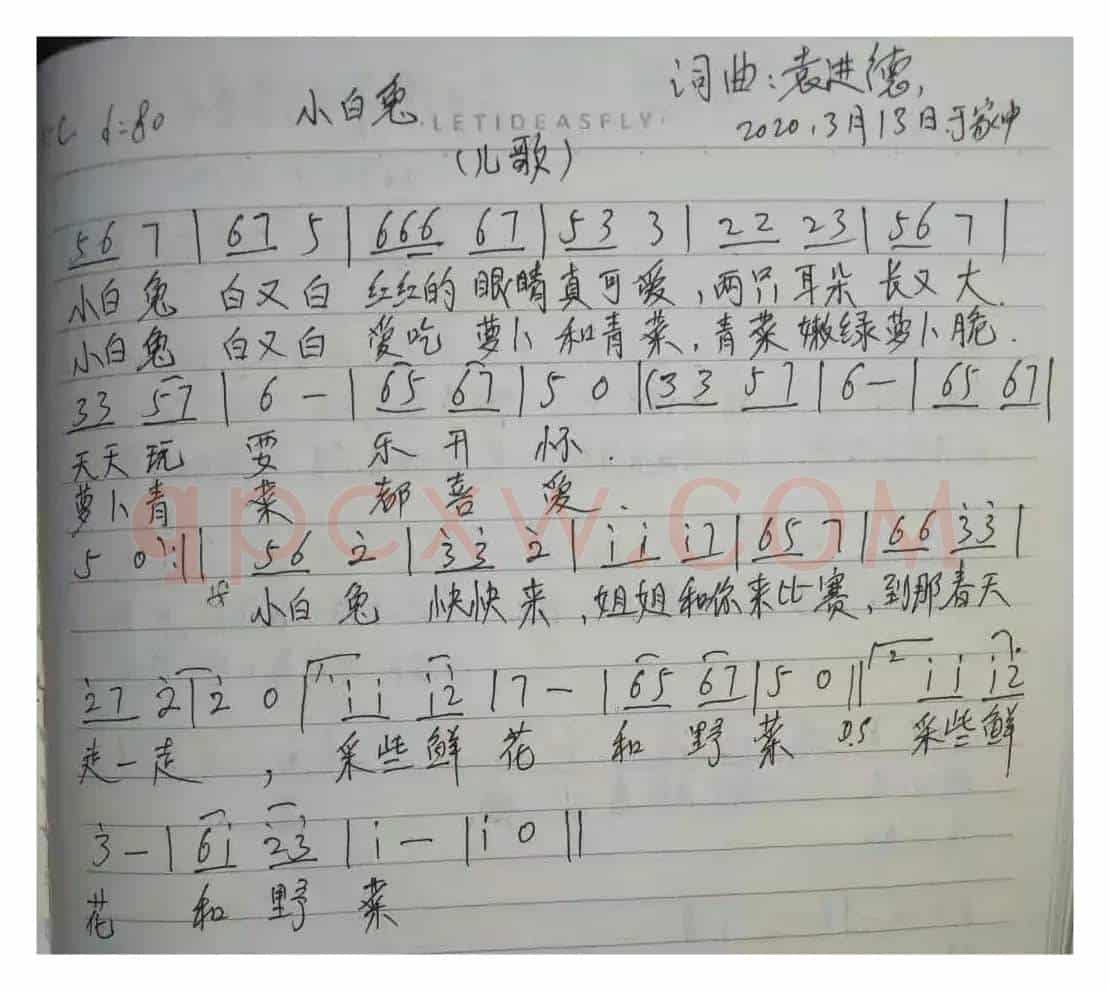 小白兔