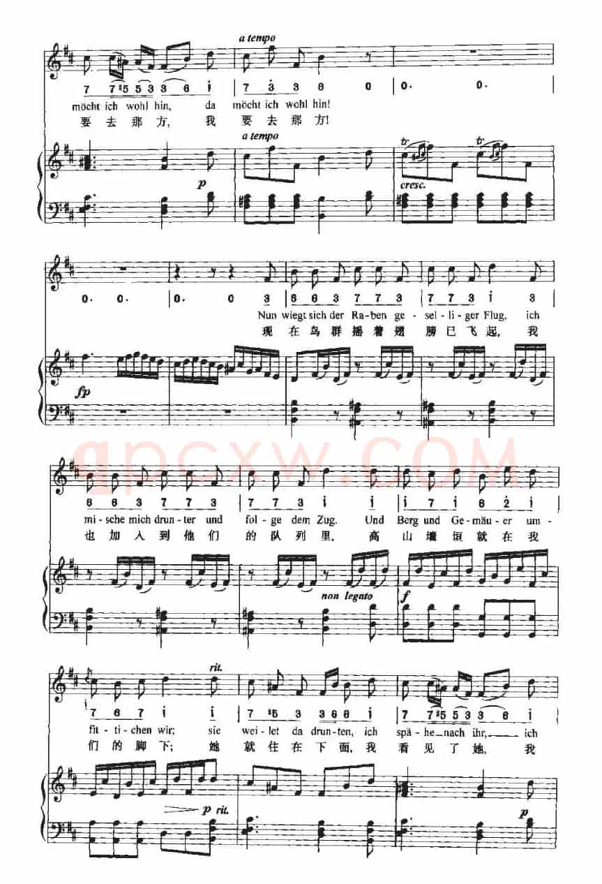 Sehnsucht（渴望 ）（中外文对照、正谱+简谱）