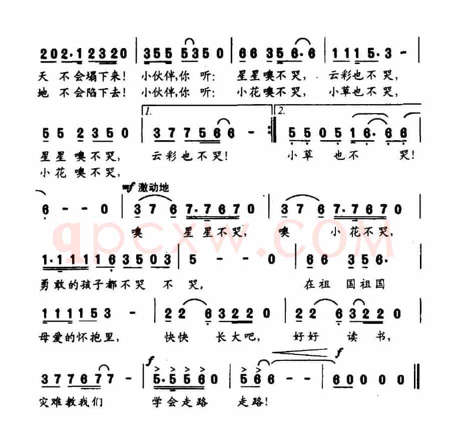 星星不哭