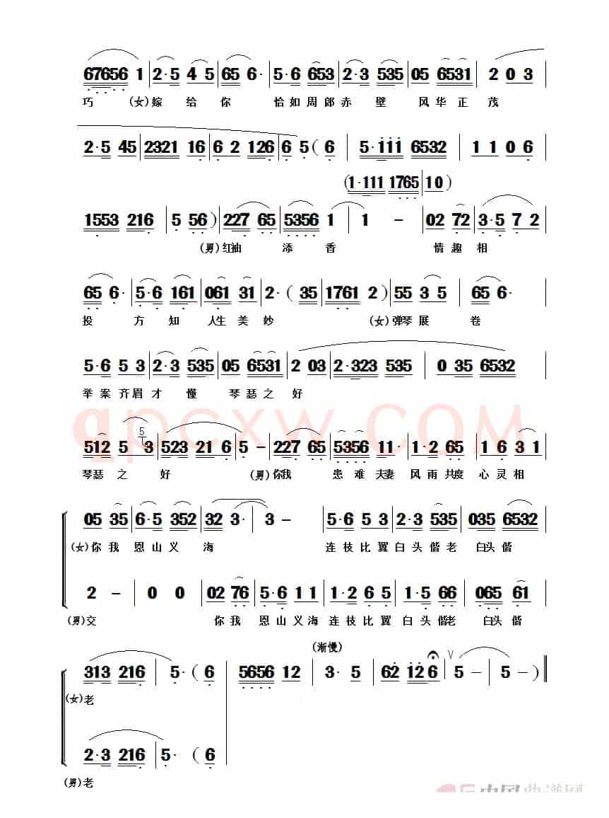 琴瑟和鸣 黄梅戏《张恨水》选段