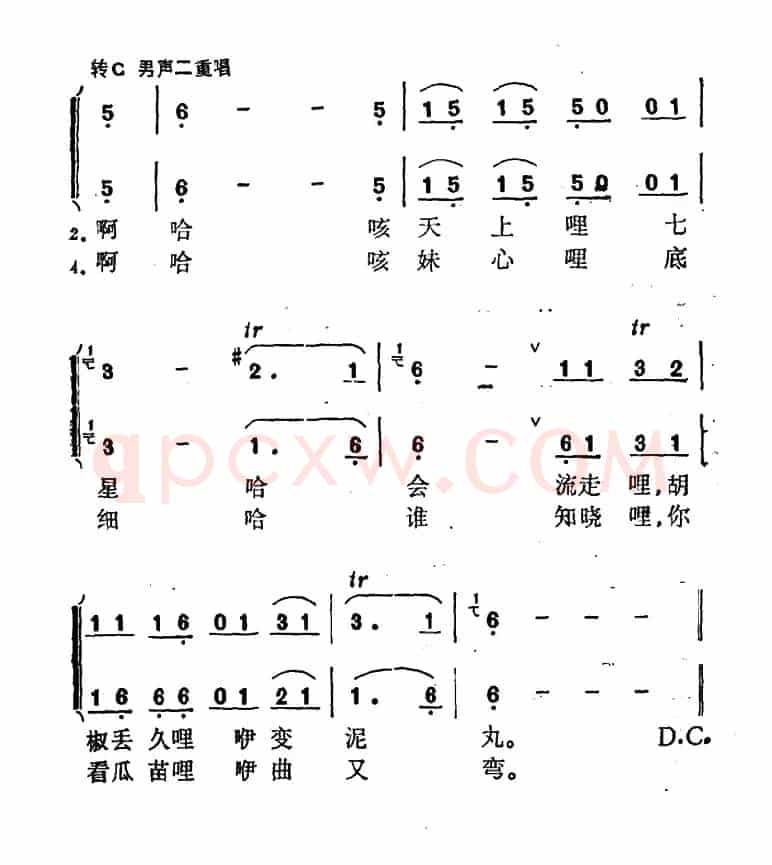 情歌对唱（广西壮族民歌）