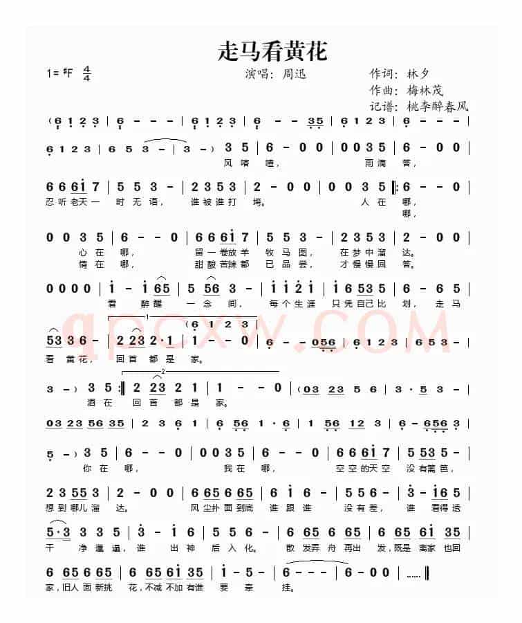 走马看黄花