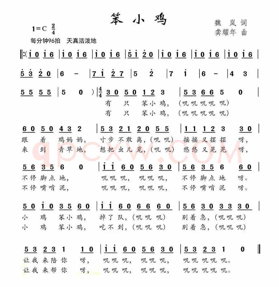 笨小鸡