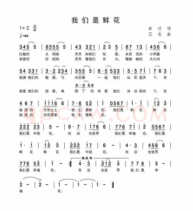 我们是鲜花