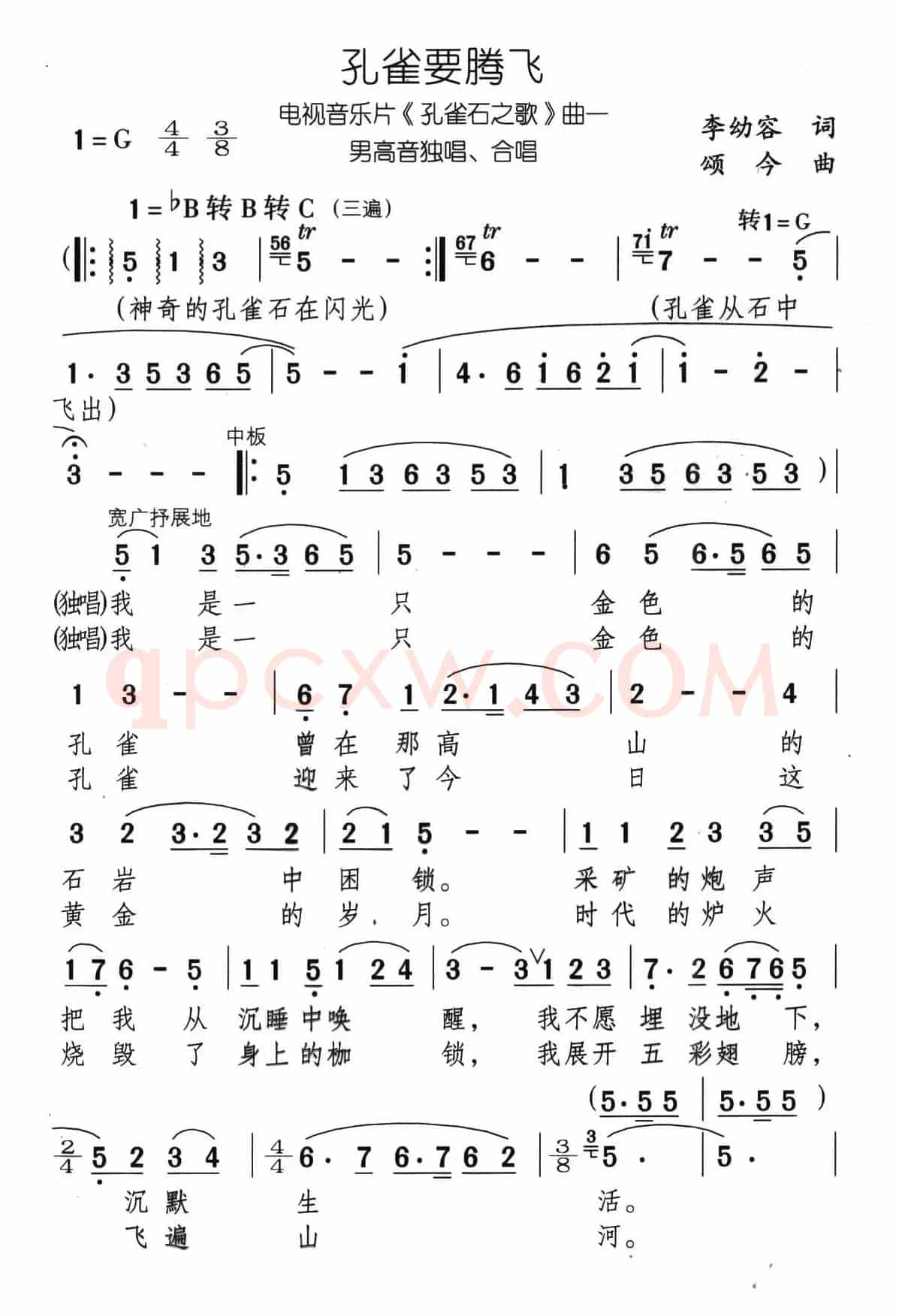 孔雀要腾飞