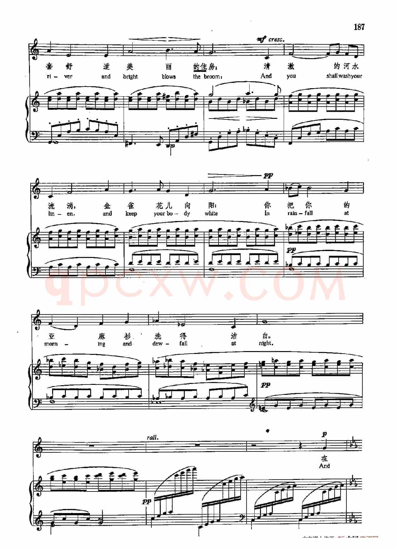 声乐教学曲库5-42路边的火光（正谱）