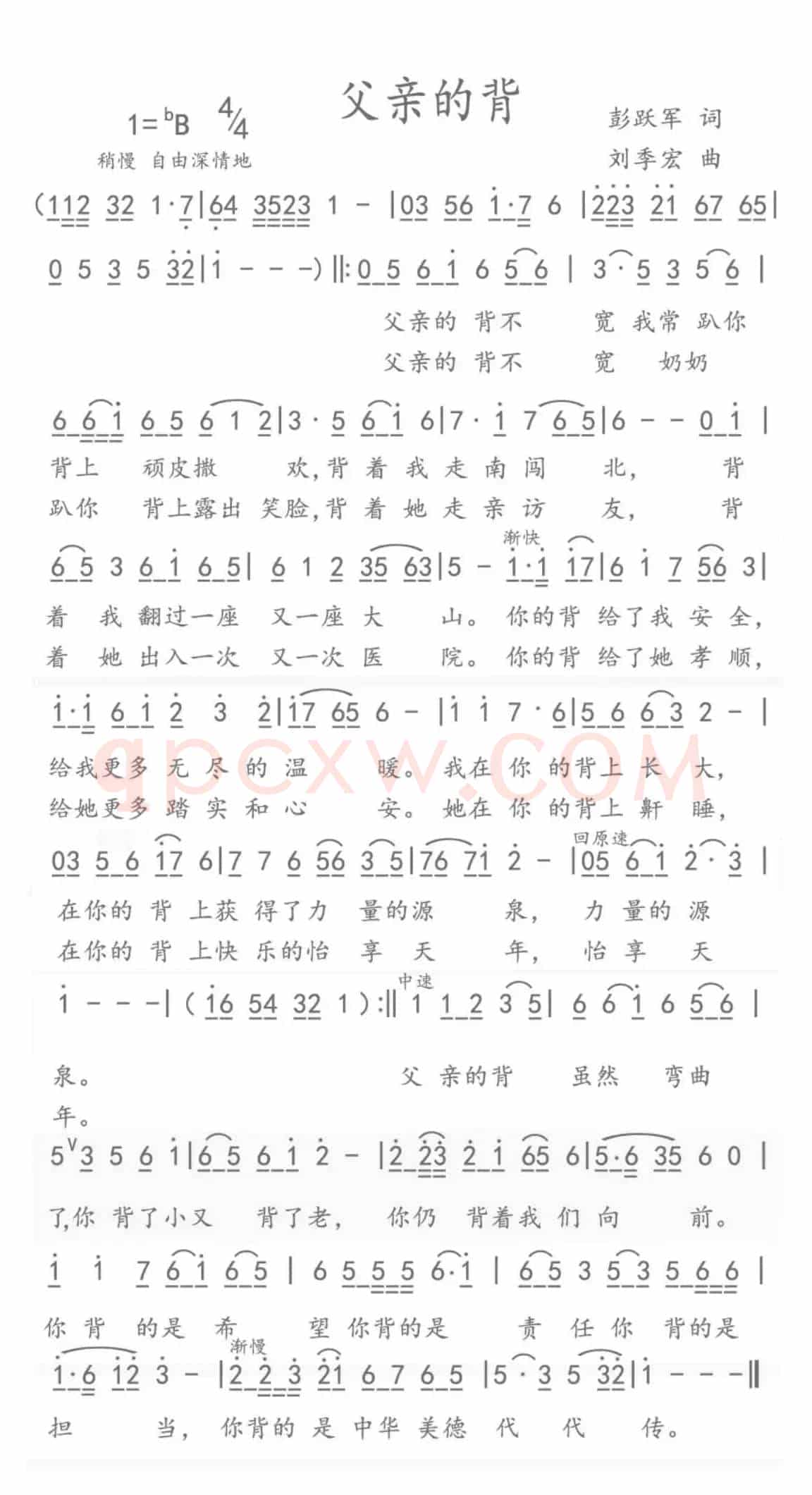 小草（父亲的背）