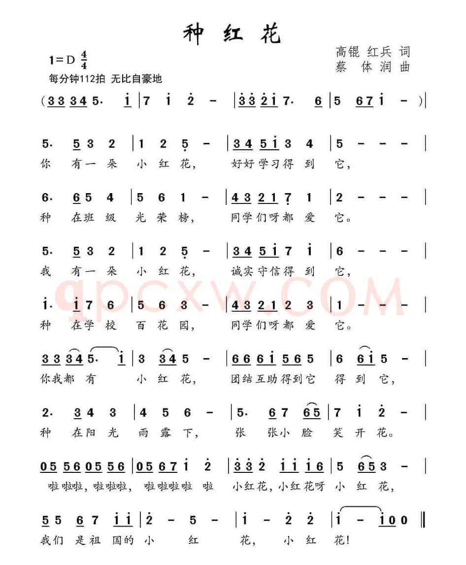 种红花（高琨 红兵词 蔡体润曲）