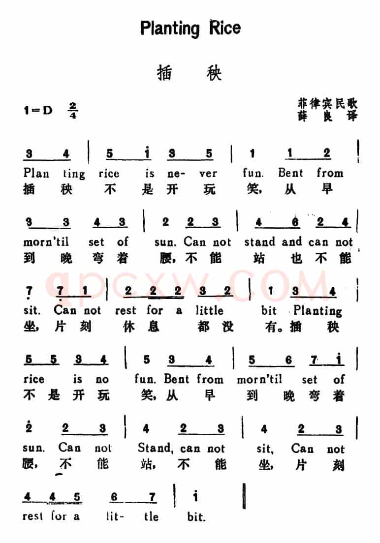 [菲律宾]插秧（Planting Rice）（汉英文对照）