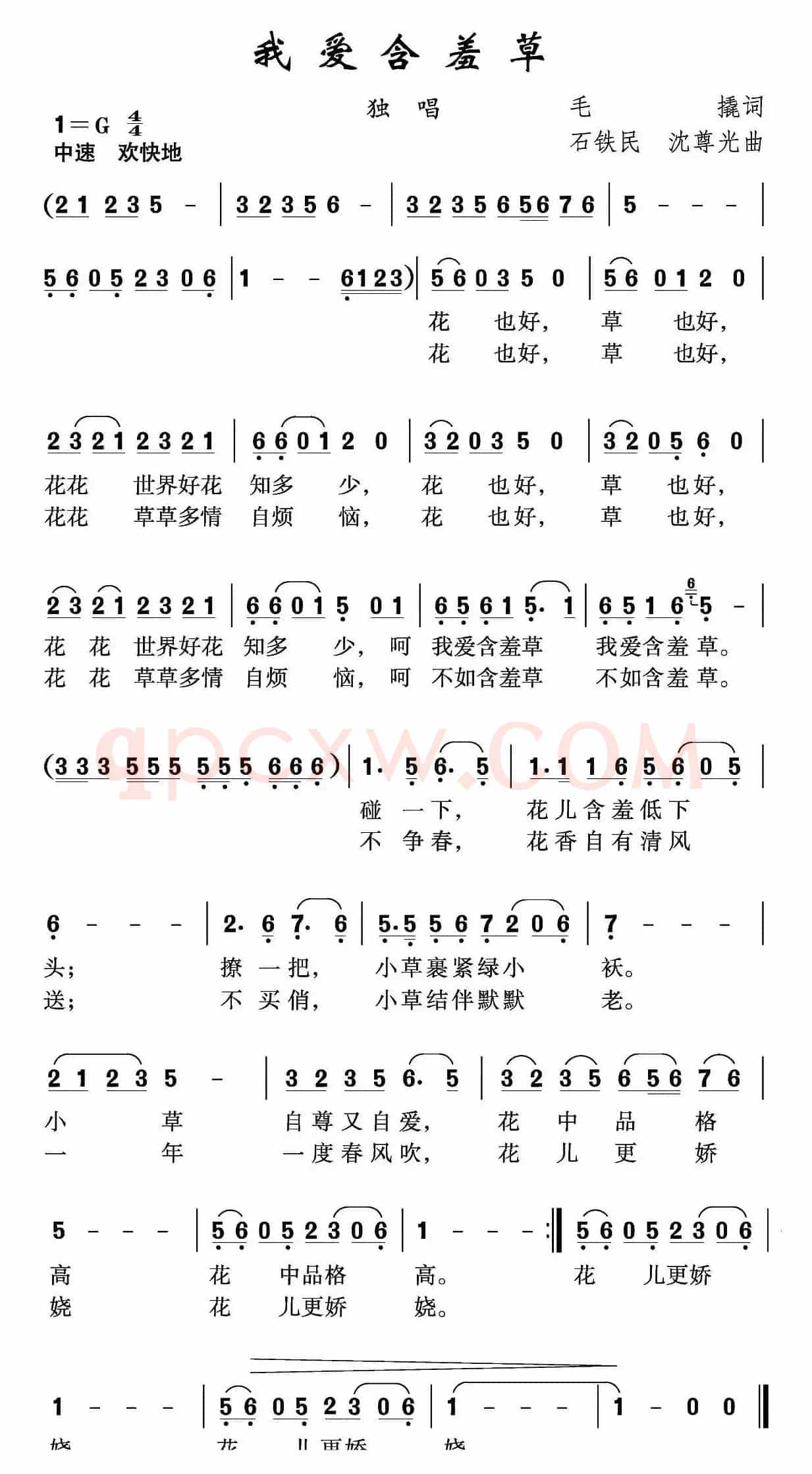 我爱含羞草