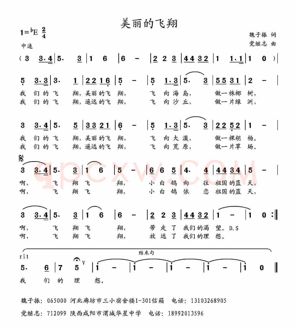 美丽的飞翔