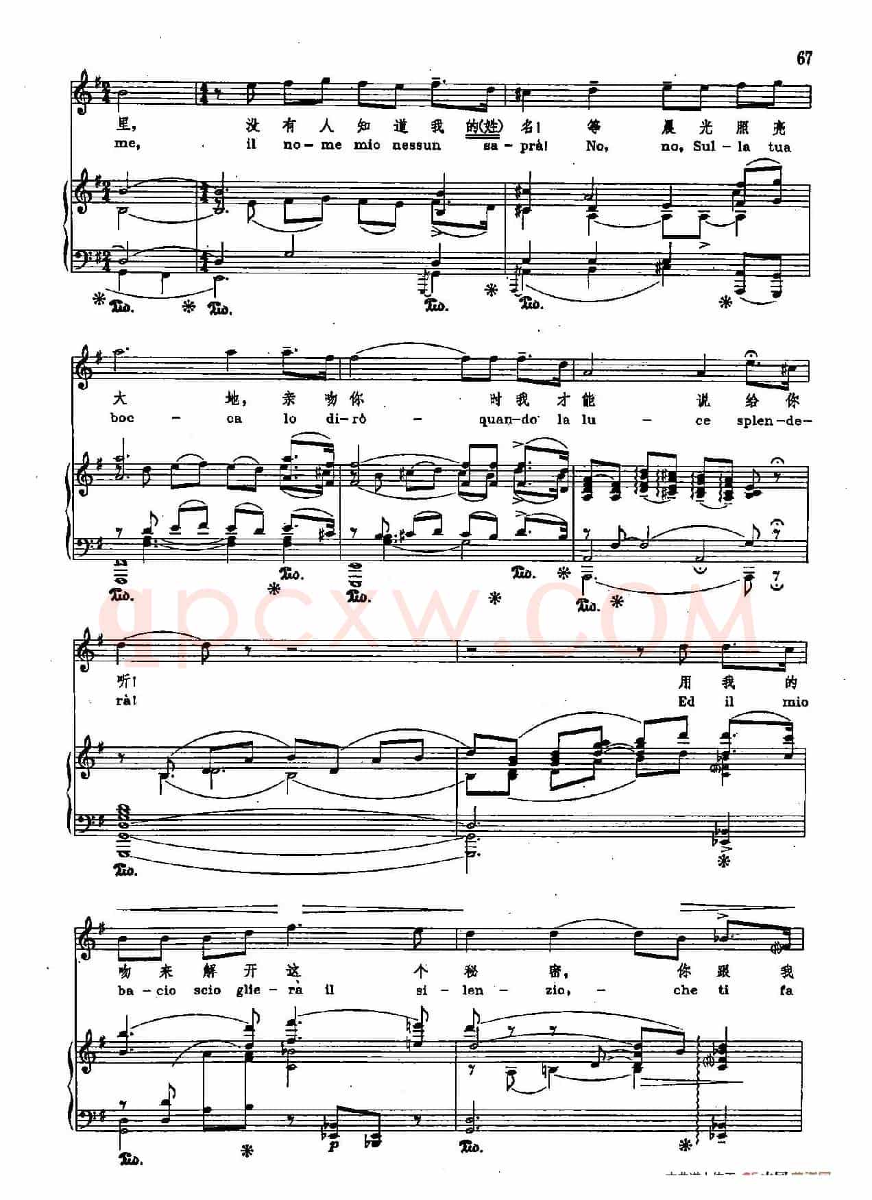 声乐教学曲库2-67[意]今夜不能入睡（正谱） （ 选自歌剧《图兰多特》）