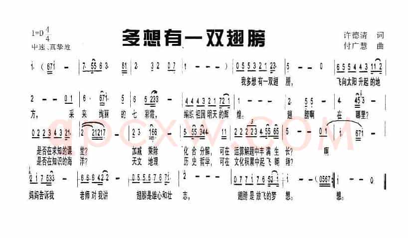 多想有一双翅膀