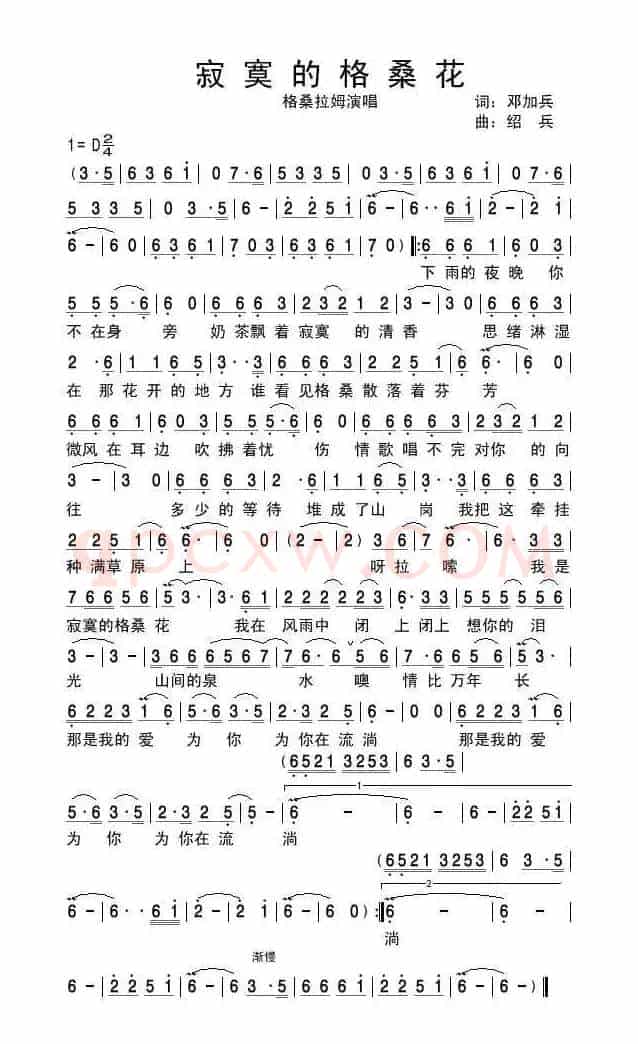 寂寞的格桑花