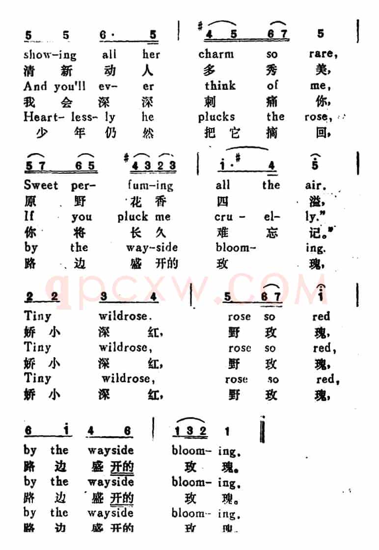 [奥]路边玫瑰（The Way-Side Rose）（汉英文对照）