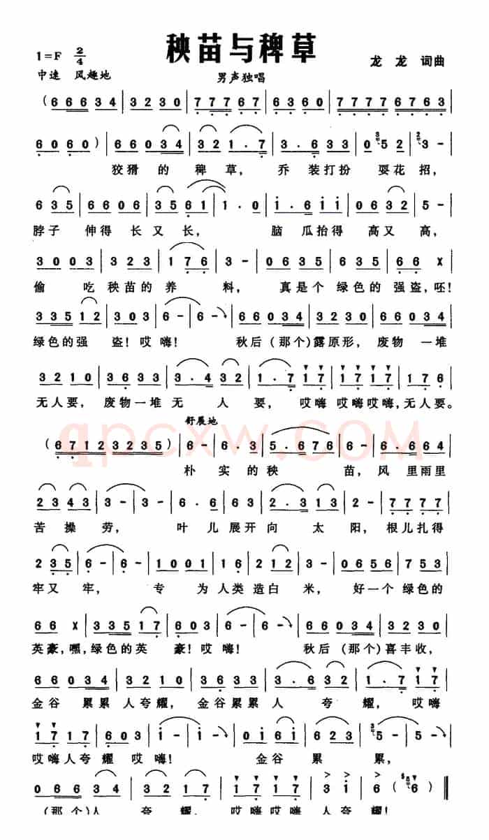 秧苗与稗草