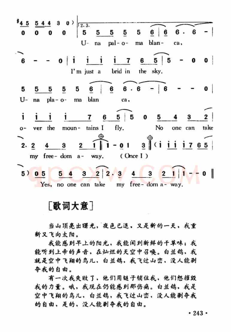 Paloma Blanca（白兰鸽）