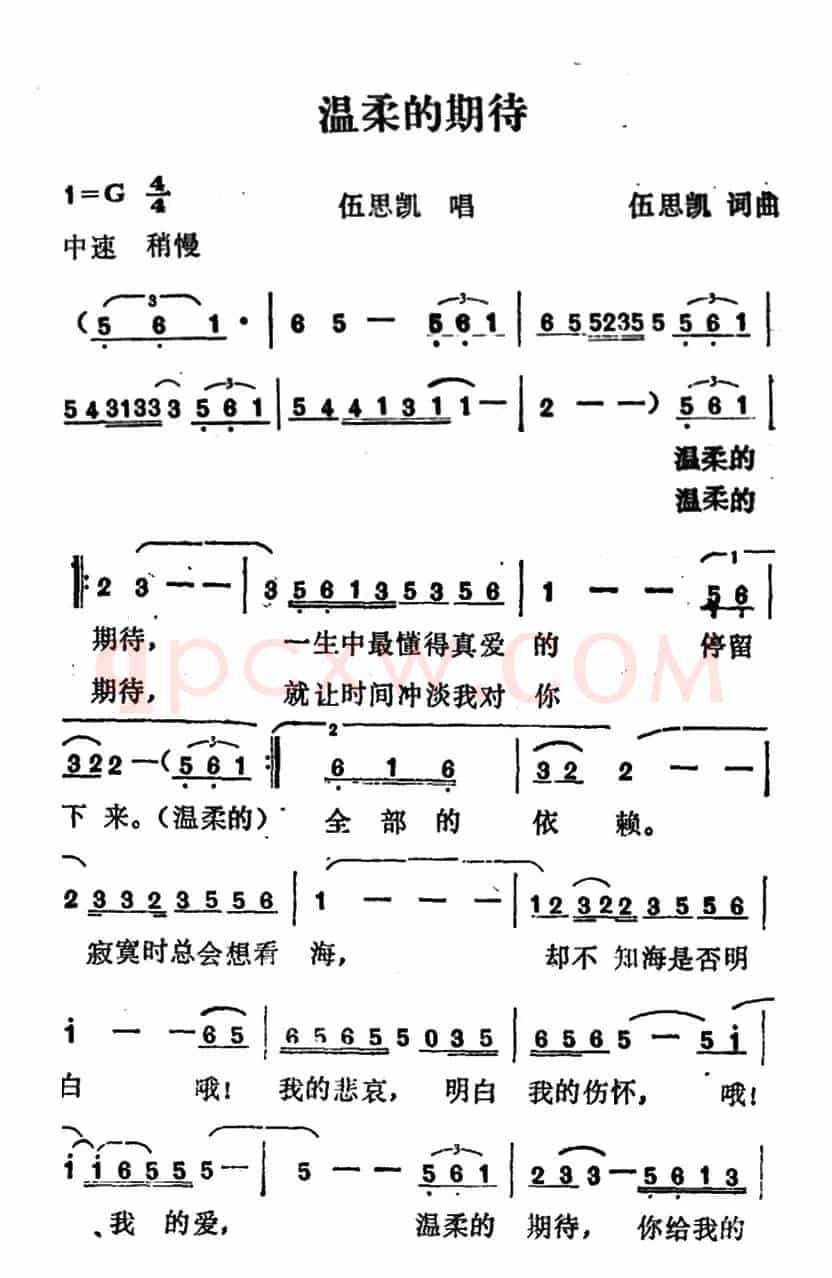 温柔的期待