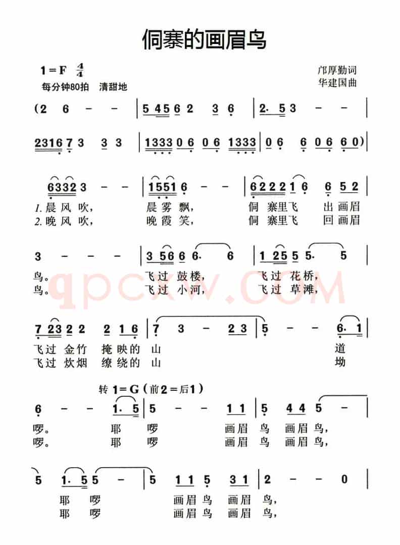 侗寨的画眉鸟