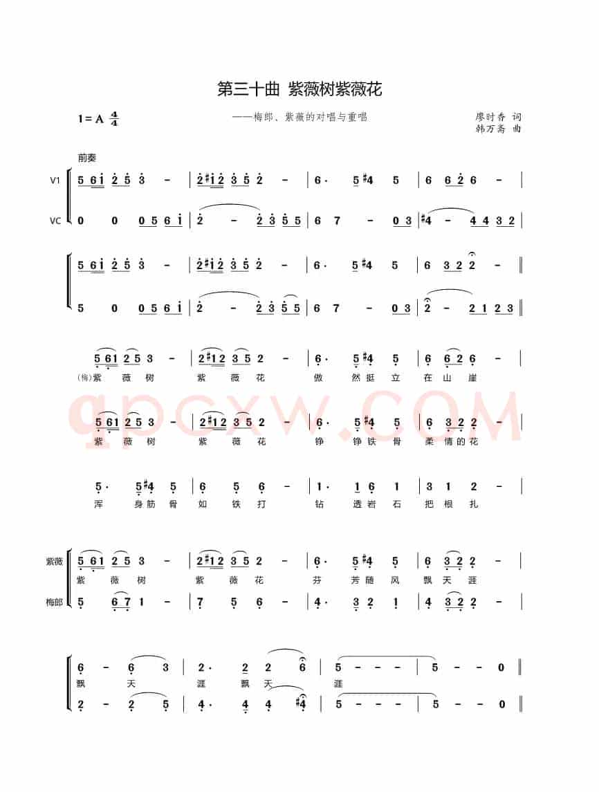 第三十曲紫薇树紫薇花（歌剧《盐神》选段）