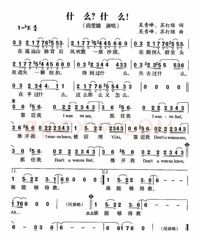 什么？什么！