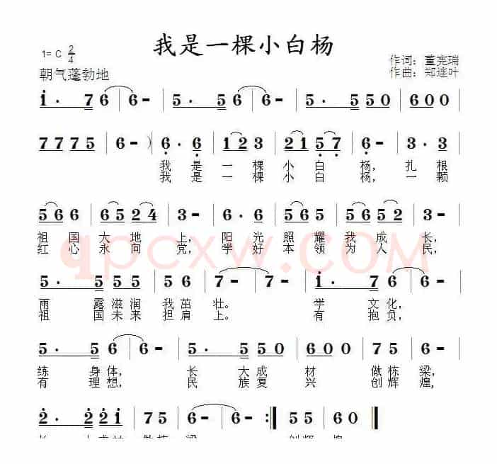 我是一棵小白杨