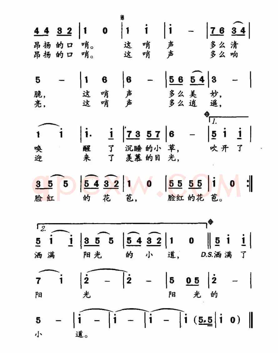 快乐的口哨