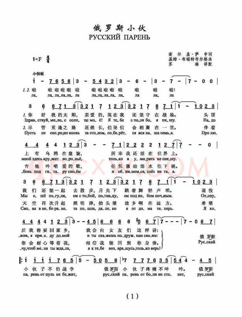 俄罗斯小伙（俄）