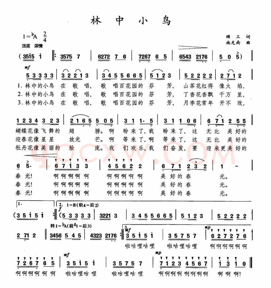 林中小鸟