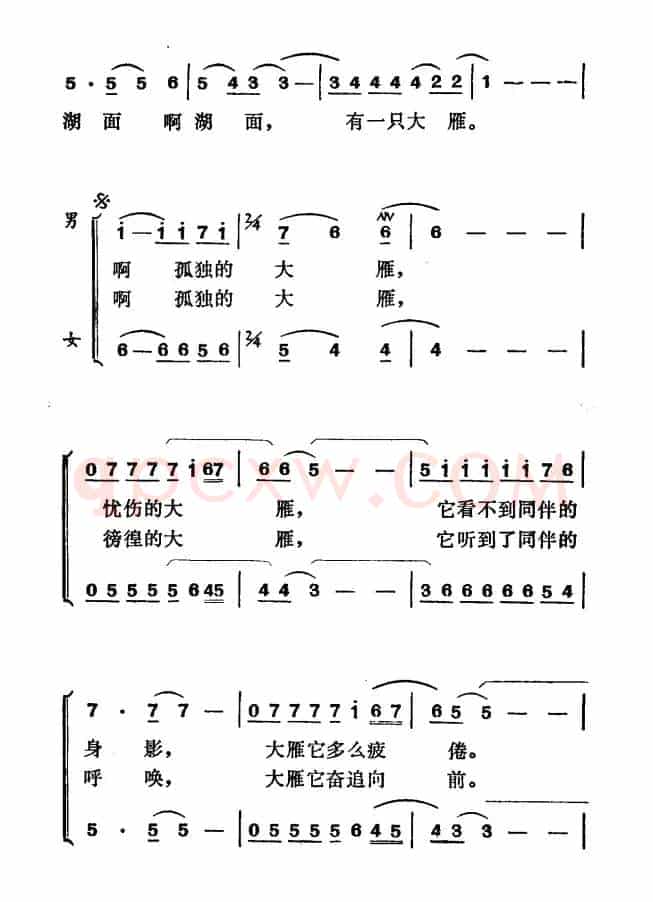 孤独的大雁（电影《街市流行曲》插曲）