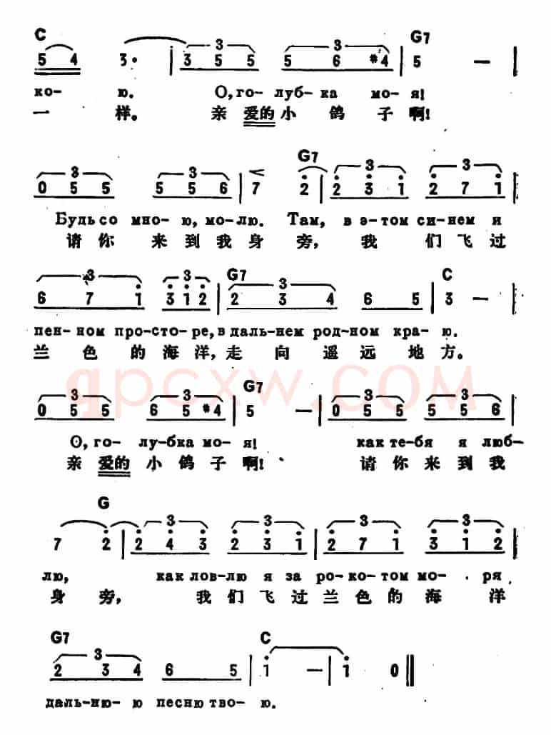 [前苏联]鸽子（中俄文对照）