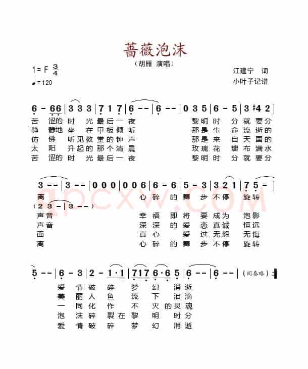 蔷薇泡沫