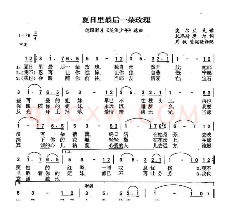夏日里最后一朵玫瑰（爱尔兰）