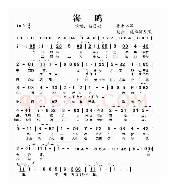 海鸥（杨曼莉演唱版）